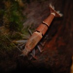 Bamboo Shrimp