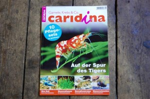 Caridina 1/2012