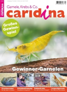 Caridina 3/2012